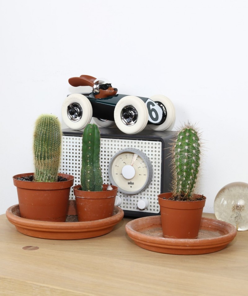 Autić Rufus Weller - Playforever